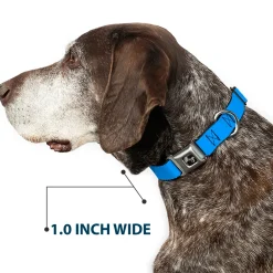 Dog Bone Seatbelt Buckle Collar - Baby Blue