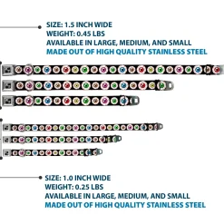 Dog Bone Seatbelt Buckle Collar - Eyeballs Black/Multi Color