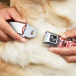 Dog Bone Seatbelt Buckle Collar - OMGâ€¦GIVE ME A BREAK!!! White/Red