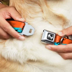 Dog Bone Seatbelt Buckle Collar - SUP w/Dog Neon Orange/Blues/Black