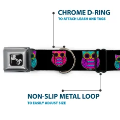 Dog Bone Seatbelt Buckle Collar - Owls Black/Fuchsia/Purple/Turquoise