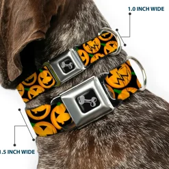 Dog Bone Seatbelt Buckle Collar - Jack-o'-Lantern Collage Black