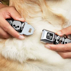 Dog Bone Seatbelt Buckle Collar - Checker & Stripe Skulls Black/White/Gray