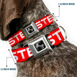 Dog Bone Seatbelt Buckle Collar - STEEZ Flat Red/White