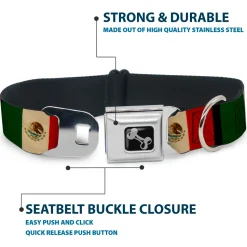 Dog Bone Seatbelt Buckle Collar - Mexico Flag Distressed