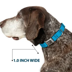 Dog Bone Seatbelt Buckle Collar - Ditsy Floral Blue/Light Blue/White