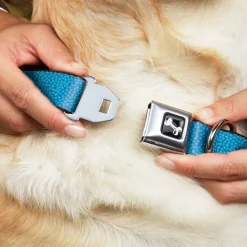 Dog Bone Seatbelt Buckle Collar - Ditsy Floral Blue/Light Blue/White