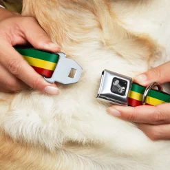 Dog Bone Seatbelt Buckle Collar - Rasta