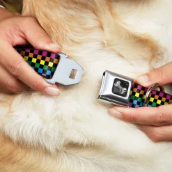 Dog Bone Seatbelt Buckle Collar - Checker Black/Neon Rainbow