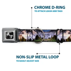 Dog Bone Seatbelt Buckle Collar - Washington MT. RAINIER Valley Landscape