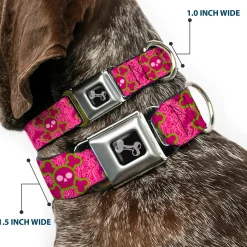 Dog Bone Seatbelt Buckle Collar - Cute Skulls w/Paisley Purple/Pink/Green