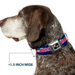 Dog Bone Seatbelt Buckle Collar - Colorado ASPEN Flag/Snowy Mountains Weathered Blue/White/Red/Yellows