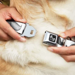 Dog Bone Seatbelt Buckle Collar - Mustaches White/Sketch