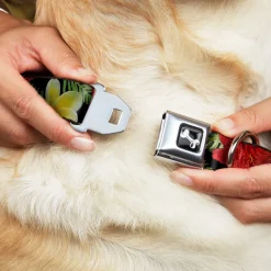Dog Bone Seatbelt Buckle Collar - Tropical Floral Collage Black/Red/Orange