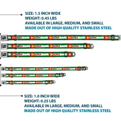 Dog Bone Seatbelt Buckle Collar - COLFAX Green Stripe Weathered