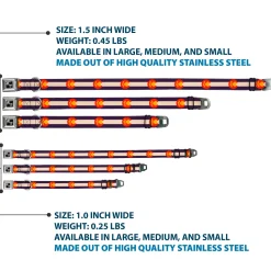 Dog Bone Seatbelt Buckle Collar - Colorado Flag/Paw Print