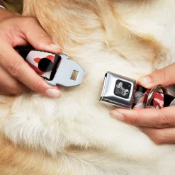 Dog Bone Seatbelt Buckle Collar - Bacon w/Text1