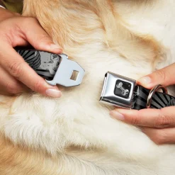 Dog Bone Seatbelt Buckle Collar - Die Hard Skulls & Stars1 Black/Grays