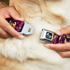 Dog Bone Seatbelt Buckle Collar - Owls Striped w/Swirls Purple