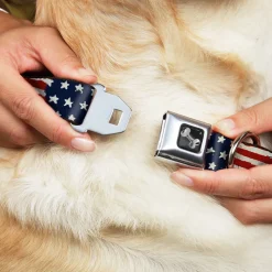 Dog Bone Seatbelt Buckle Collar - Stars & Stripes Painting