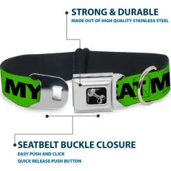 Dog Bone Seatbelt Buckle Collar - DON'T SWEAT MY SWAG Neon Green/Black/Red