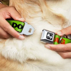 Dog Bone Seatbelt Buckle Collar - DON'T SWEAT MY SWAG Neon Green/Black/Red