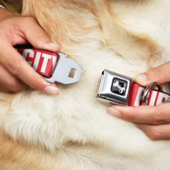 Dog Bone Seatbelt Buckle Collar - RIP CITY Red/White