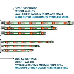 Dog Bone Seatbelt Buckle Collar - COLFAX Green Stripe