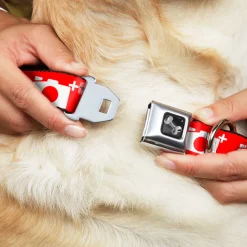 Dog Bone Seatbelt Buckle Collar - Camera Red/White