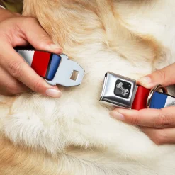 Dog Bone Seatbelt Buckle Collar - France Flags