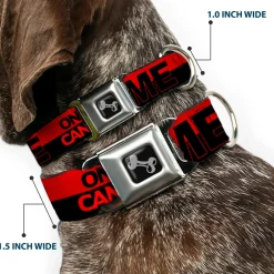 Dog Bone Seatbelt Buckle Collar - ONLY GOD CAN JUDGE ME/Stripe Red/Black/Red