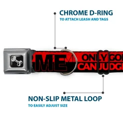 Dog Bone Seatbelt Buckle Collar - ONLY GOD CAN JUDGE ME/Stripe Red/Black/Red