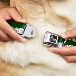 Dog Bone Seatbelt Buckle Collar - Colorado Mountains Green/White/Gray Text