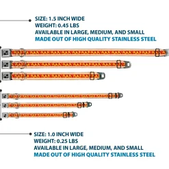 Dog Bone Seatbelt Buckle Collar - Hot Dog w/Mustard & Ketchup Vivid