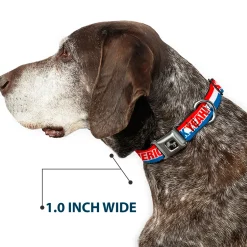 Dog Bone Seatbelt Buckle Collar - AMERICA, FUCK YEA Red/White/Blue