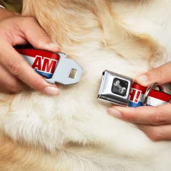 Dog Bone Seatbelt Buckle Collar - AMERICA, FUCK YEA Red/White/Blue