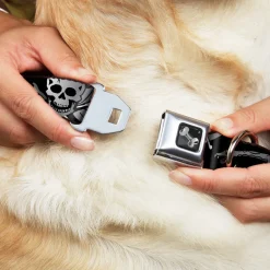 Dog Bone Seatbelt Buckle Collar - Live Hard Die Young Black/White