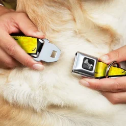 Dog Bone Seatbelt Buckle Collar - Taco/Chevron Black/White