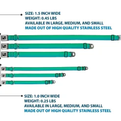 Dog Bone Seatbelt Buckle Collar - Teal Ombre