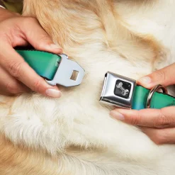Dog Bone Seatbelt Buckle Collar - Teal Ombre