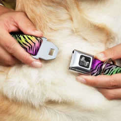 Dog Bone Seatbelt Buckle Collar - Animal Skins Rainbow/Black