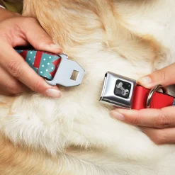 Dog Bone Seatbelt Buckle Collar - BUCKLE-DOWN Shapes Red/Dot Turquoise/White
