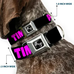 Dog Bone Seatbelt Buckle Collar - PARTY TIME! Black/Fuchsia