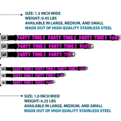 Dog Bone Seatbelt Buckle Collar - PARTY TIME! Black/Fuchsia