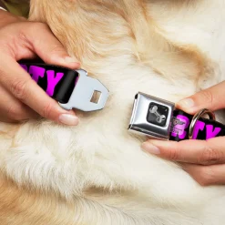 Dog Bone Seatbelt Buckle Collar - PARTY TIME! Black/Fuchsia