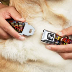 Dog Bone Seatbelt Buckle Collar - Beach Tags/Paint Splatter Brick Wall/Beach Scenes