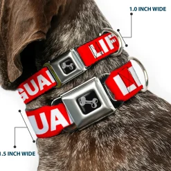 Dog Bone Seatbelt Buckle Collar - LIFEGUARD/Logo Red/White
