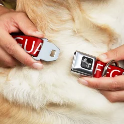 Dog Bone Seatbelt Buckle Collar - LIFEGUARD/Logo Red/White
