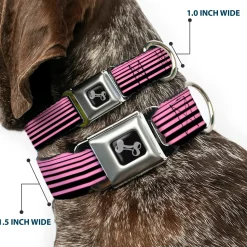 Dog Bone Seatbelt Buckle Collar - Stripe Transition Black/Pink