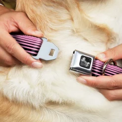 Dog Bone Seatbelt Buckle Collar - Stripe Transition Black/Pink